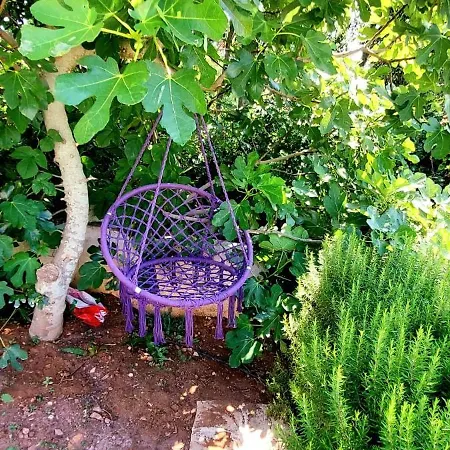 Romantica Villa Blato (Korcula)