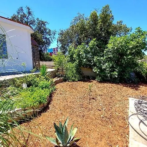 Villa Romantica Blato (Korcula)